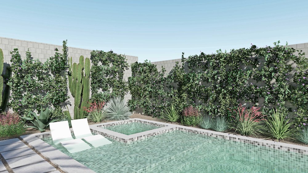 拉斯维加斯用植物围起来的泳池区