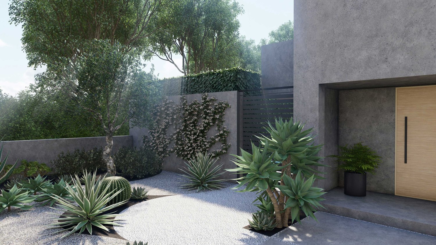 洛杉矶砾石前院耐旱植物，树木，墙植物，篱笆和种植