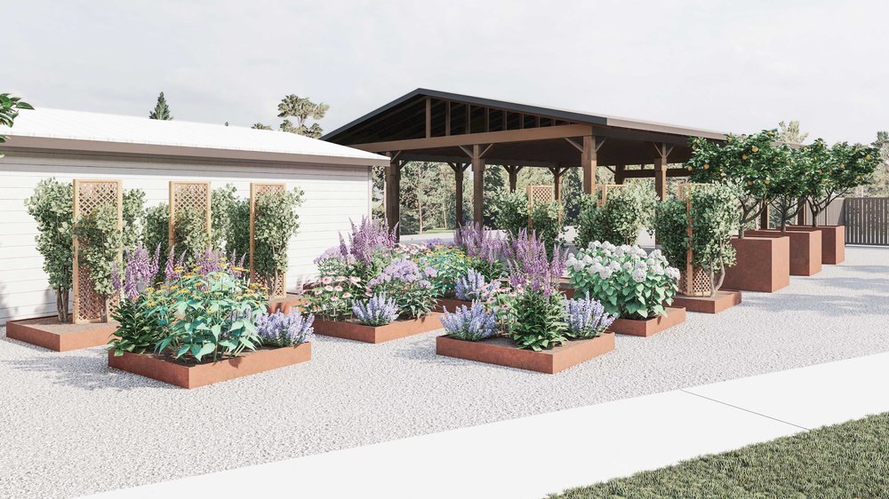 纳帕后院设计展示亭子与植物和树木