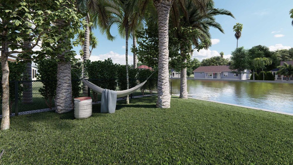 棕榈滩后院，有树和树吊床