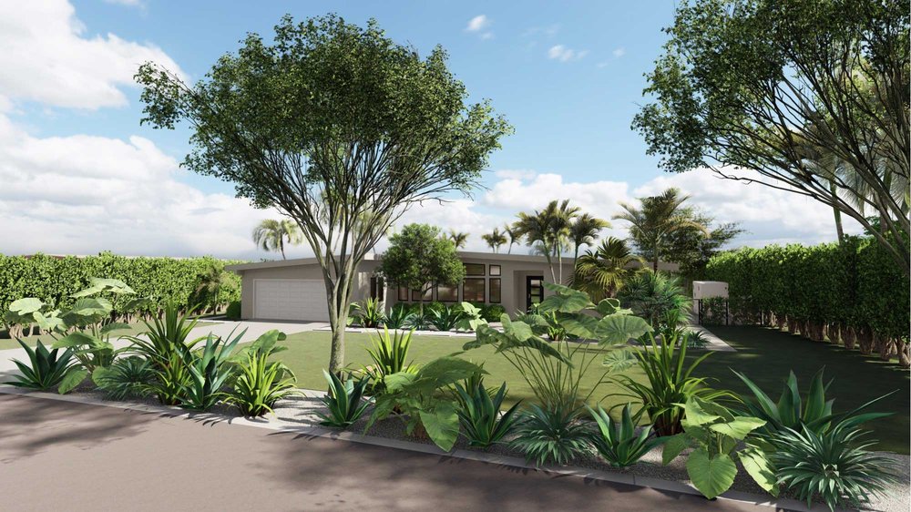 棕榈滩前院设计与树木和植物