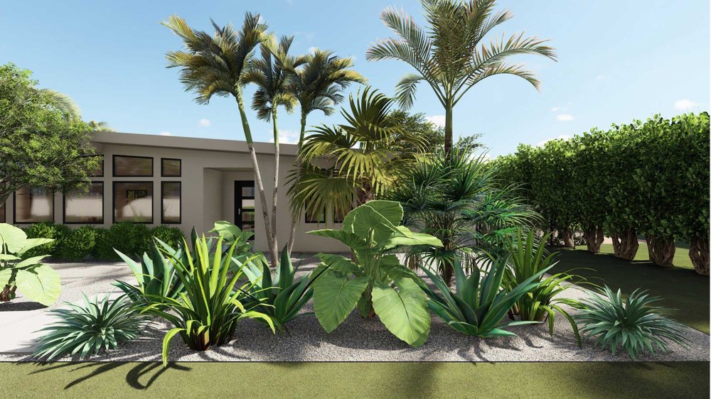 棕榈滩前院设计与树木