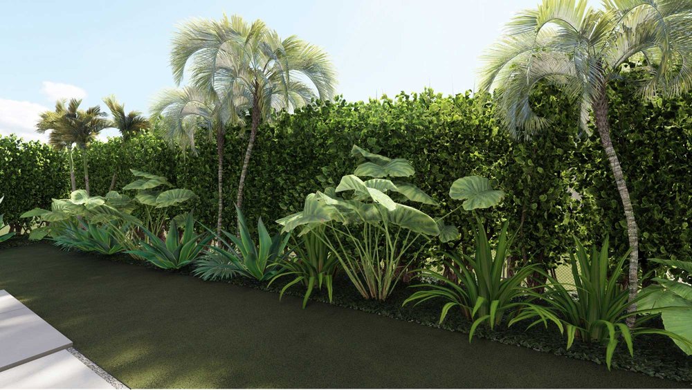 棕榈滩庭院设计与植物