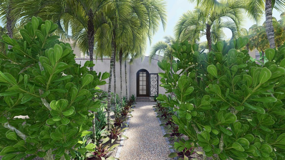 棕榈滩庭院设计与走道和植物