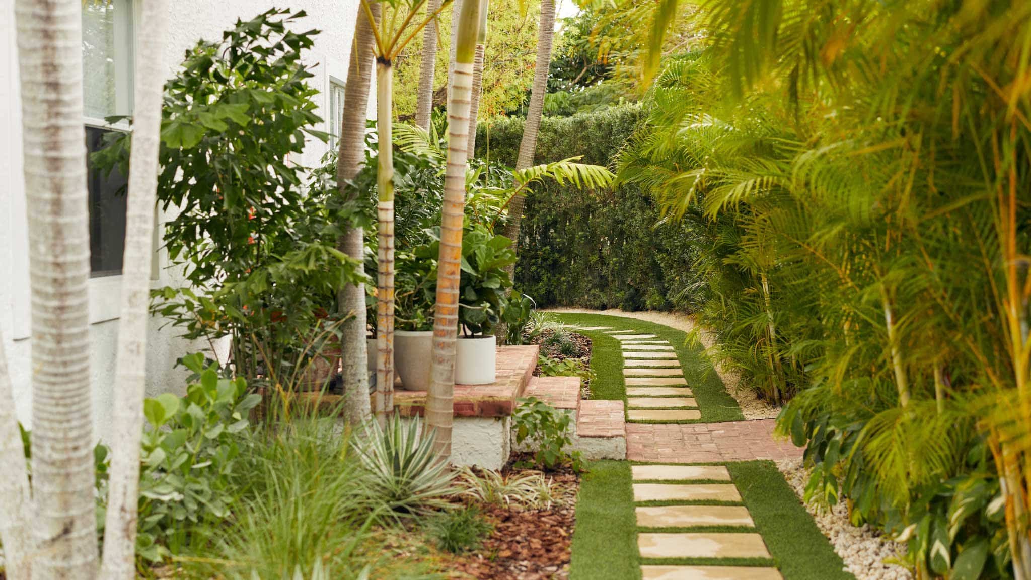 侧院子有绿色的草地和台阶小径，在家旁边有热带植物床
