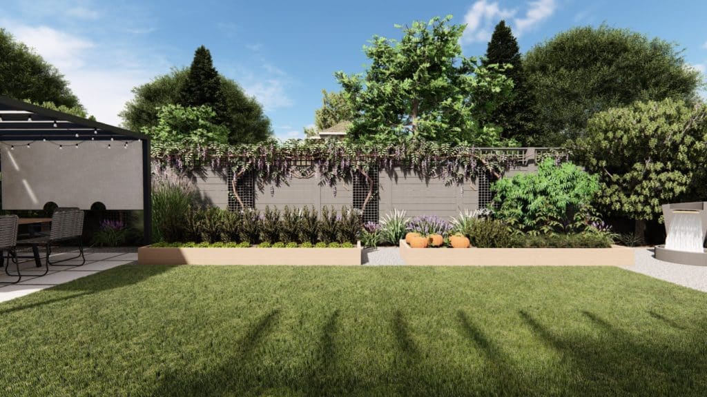 3 d设计提出的新的后院包括清洁、有序的床沿着篱笆爬紫藤葡萄。