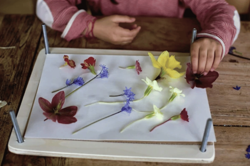 小孩在白色床单上做压花艺术。