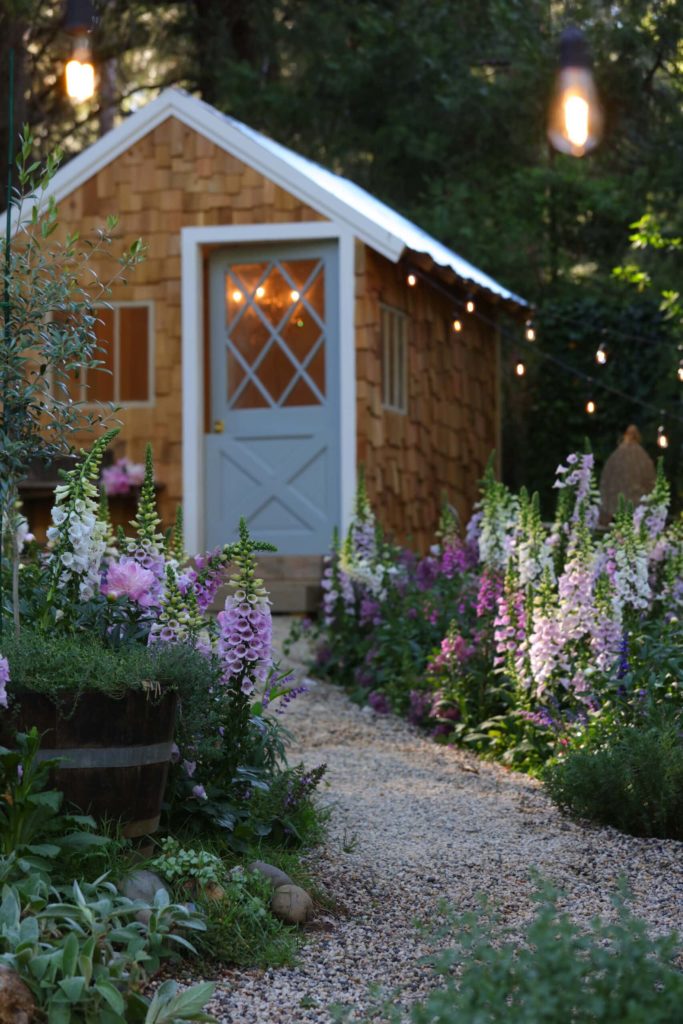 石子路两旁有高大的紫色和白色的开花植物，通往蓝色门的农舍式小屋