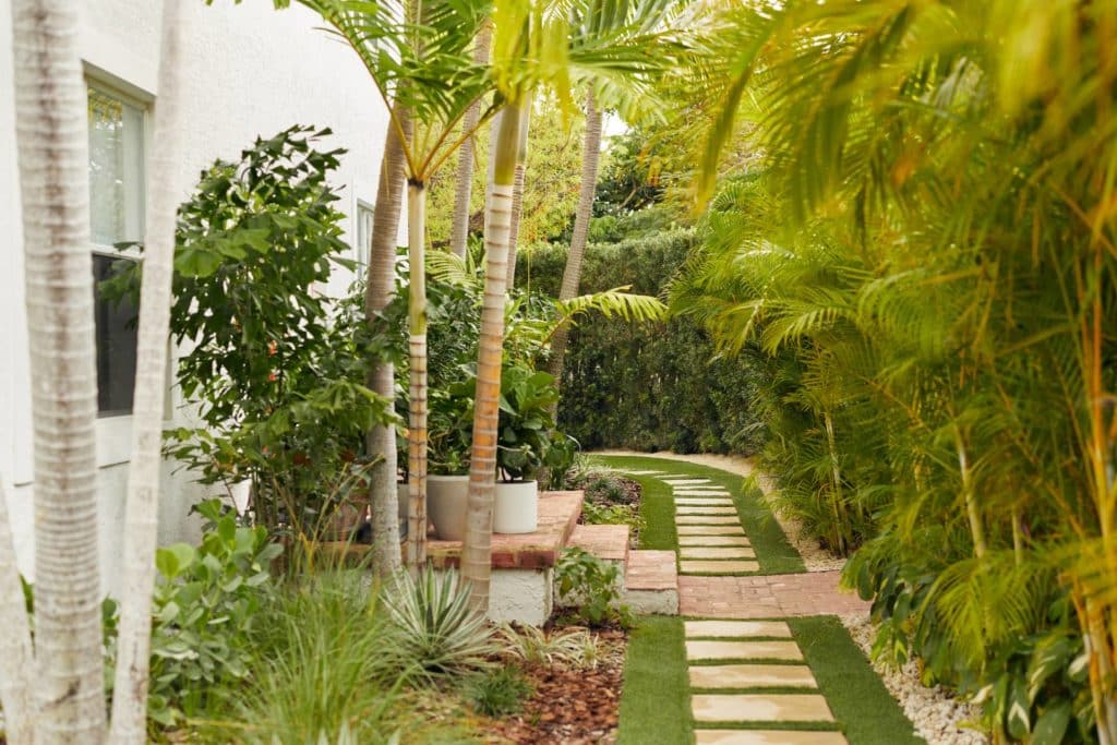 新美化侧院新铺路材料和郁郁葱葱的热带植物